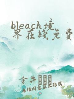 bleach境界在线免费观看全集
