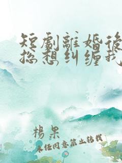 短剧离婚后前夫总想纠缠我在线观看