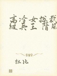 高冷女总裁的超级兵王 隋风天下