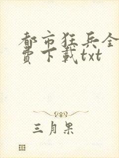 都市狂兵全文免费下载txt