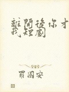 离开后你才说爱我短剧