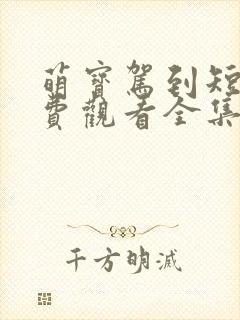 萌宝驾到短剧免费观看全集