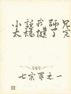 小说我师兄实在太稳健了完本txt