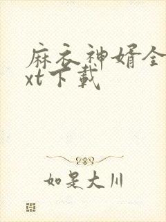 麻衣神婿全本txt下载