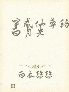 穿成仙尊的早死白月光