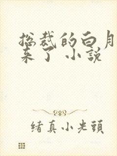 总裁的白月光回来了 小说