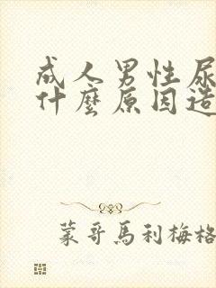 成人男性尿床是什么原因造成的