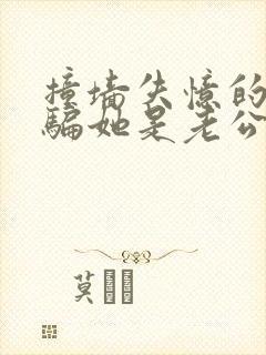 撞墙失忆的妈妈骗她是老公小说