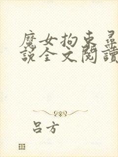 魔女拘束寻虐小说全文阅读