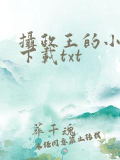 摄政王的小闲妻下载txt