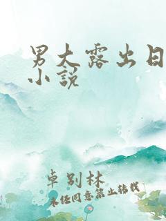 男大露出日记h小说