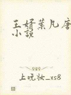 王婿叶凡唐若雪小说