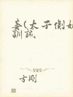 妾(太子侧妃)训诫