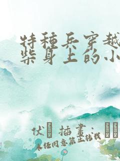 特种兵穿越到废柴身上的小说