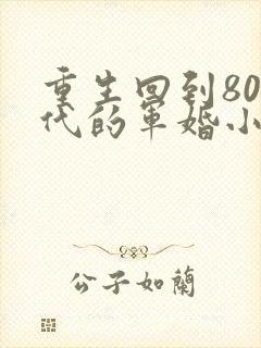 重生回到80年代的军婚小说
