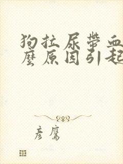 狗拉尿带血是什么原因引起的