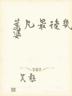 叶凡最后几个老婆