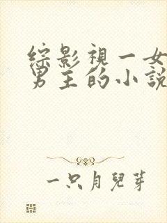 综影视一女主多男主的小说笔趣阁