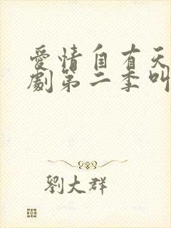 爱情自有天意短剧第二季叫什么