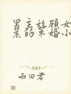 男主姓顾女主姓叶的军婚小说