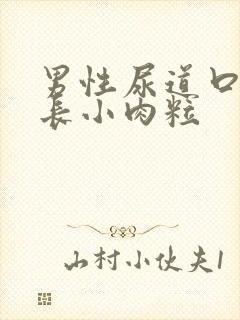 男性尿道口皮上长小肉粒