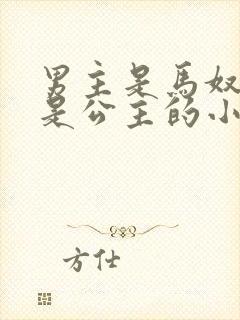 男主是马奴女主是公主的小说