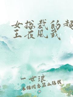 女总裁的超级兵王夜风武