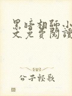 黑暗相师小说全文免费阅读