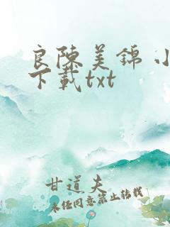 良陈美锦 小说下载txt