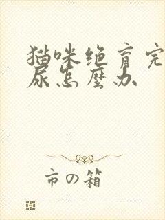 猫咪绝育完还乱尿怎么办