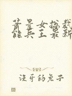 萧晨女总裁的全能兵王最新章节更新列表