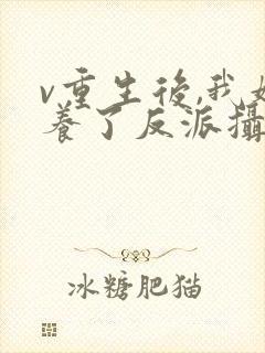 v重生后,我娇养了反派摄政王