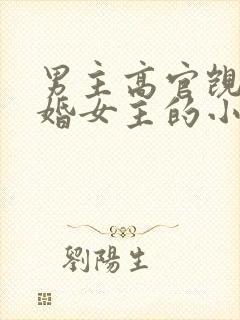 男主高官觊觎已婚女主的小说