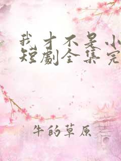 我才不是小可怜短剧全集完整版