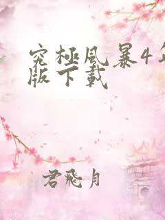 究极风暴4年度版下载