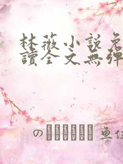 林薇小说免费阅读全文无弹窗