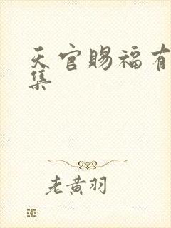 天官赐福有多少集