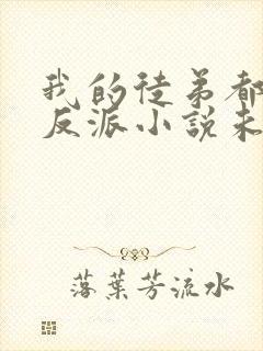 我的徒弟都是大反派小说未删减完整版