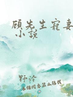 顾先生宠妻有度 小说