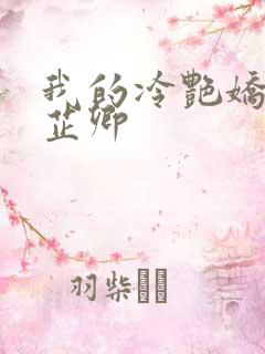 我的冷艳娇妻秦芷卿