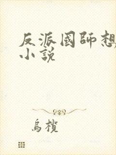 反派国师想转正小说