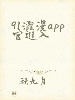 91涩漫app官进入