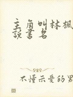 主角叫林枫的小说书名