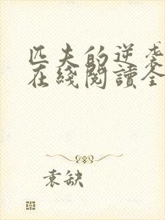 匹夫的逆袭小说在线阅读全文