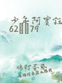 少年阿宾钰慧篇62――79