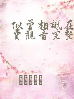 似曾相识在线免费观看完整版国语