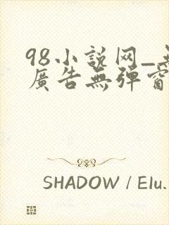 98小说网_无广告无弹窗阅读