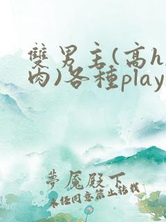 双男主(高h,肉)各种play