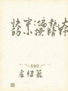 快穿:偏执大佬的小撩精野翻了txt全本