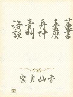 洛青舟秦蒹葭小说叫什么书名